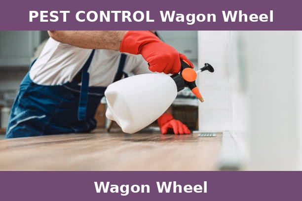 PEST CONTROL Wagon Wheel